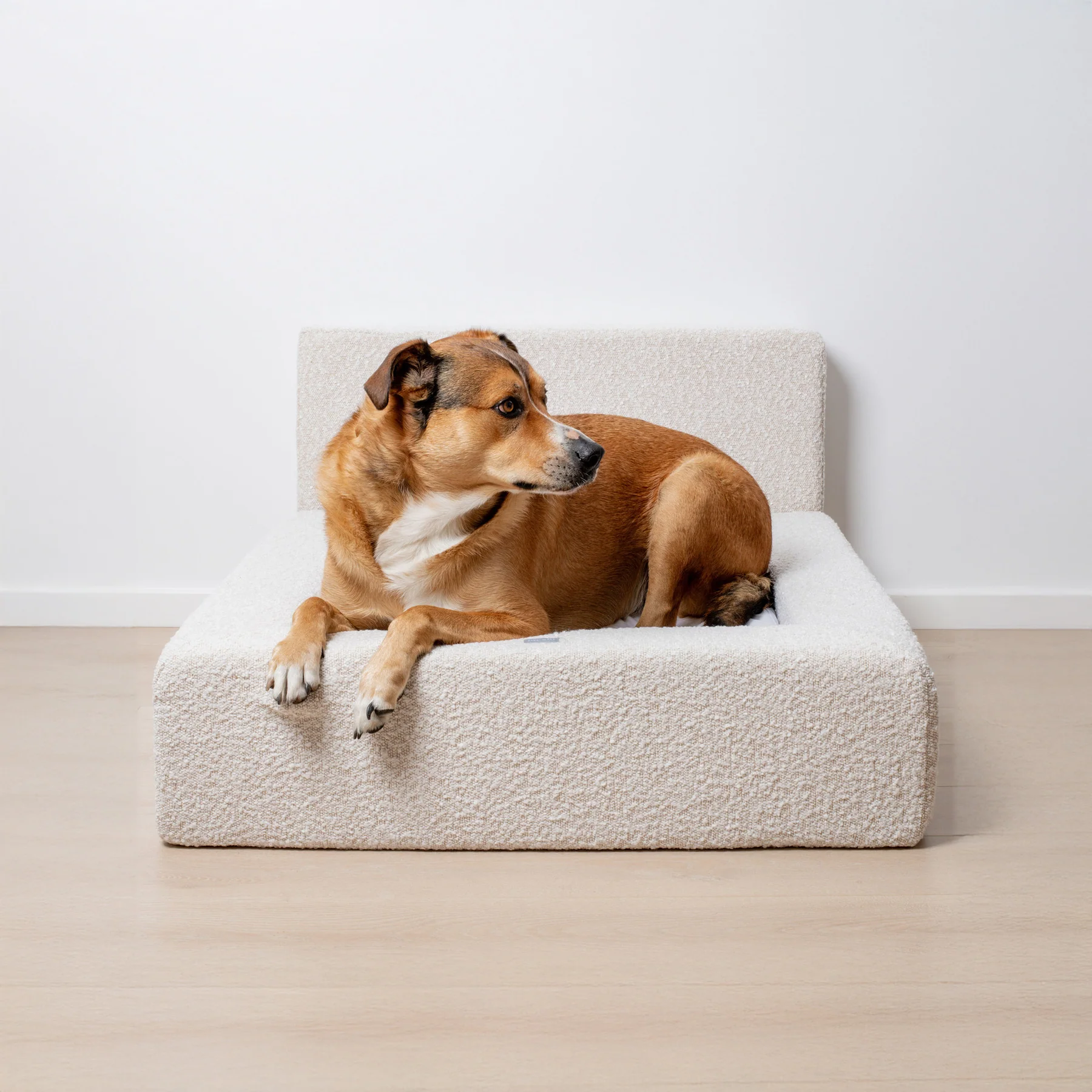 medium_dog_bed_cream_kelpiex